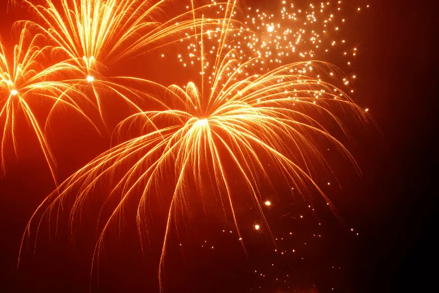 Happy New Year to all our Valued Customers